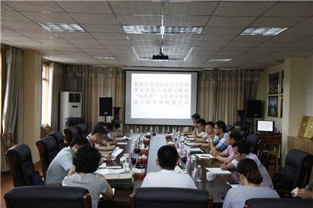 集團(tuán)公司紀(jì)委余書記到公司開展督查活動