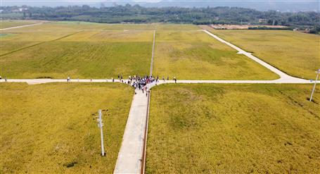 全區(qū)500多技術(shù)人員來(lái)觀摩這個(gè)項(xiàng)目