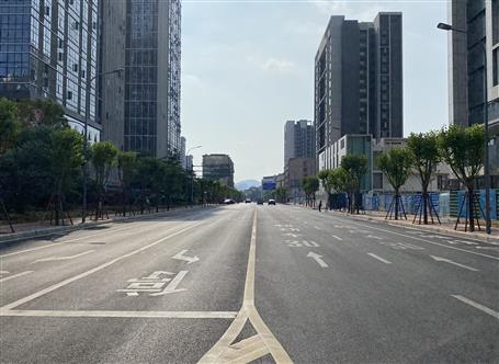 提升“三力”爭(zhēng)創(chuàng)佳績(jī)丨長風(fēng)路西段道路工程項(xiàng)目通過竣工驗(yàn)收