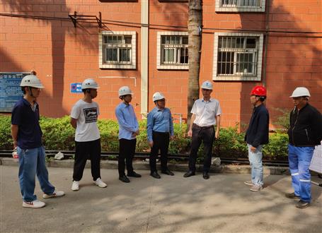 何勇、韋克雪到柳州市城市更新項目進行調(diào)研指導工作